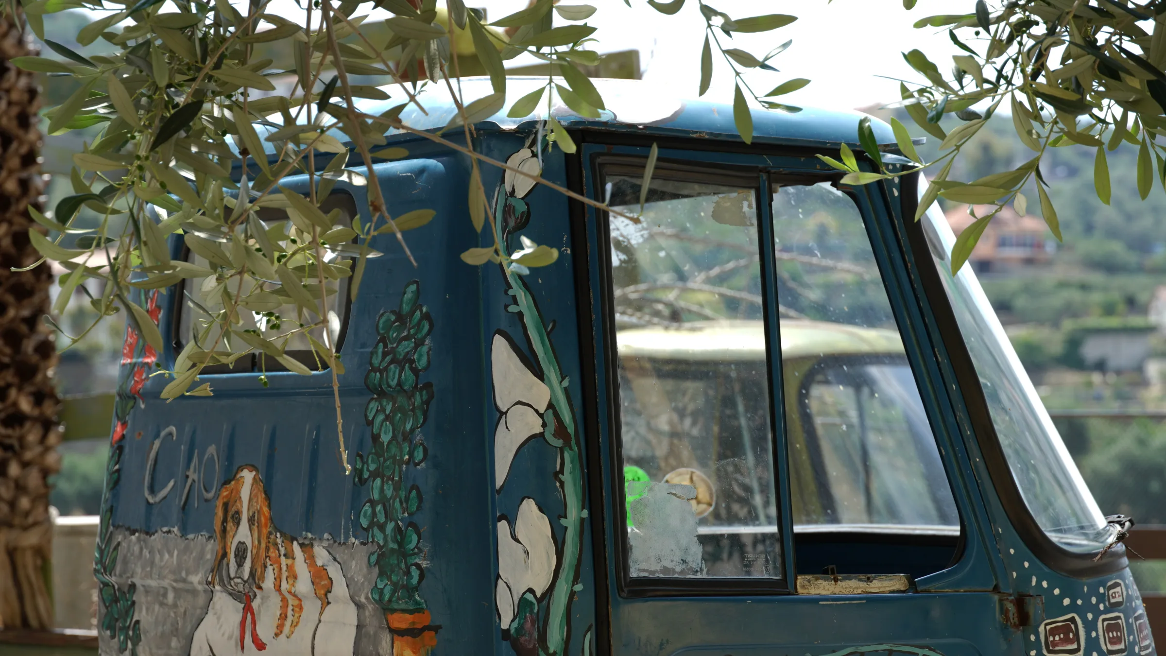 VALLEBONA - EURO APE  - 2026